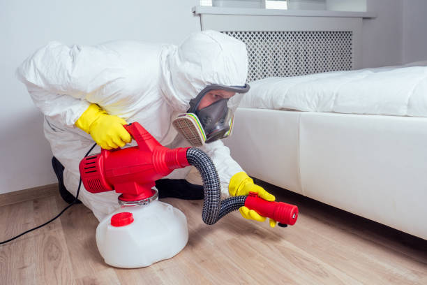 Best Local Pest Control Services  in Delaware, OH
