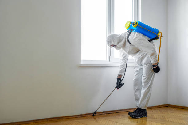 Best Rat Extermination Near Me  in Delaware, OH