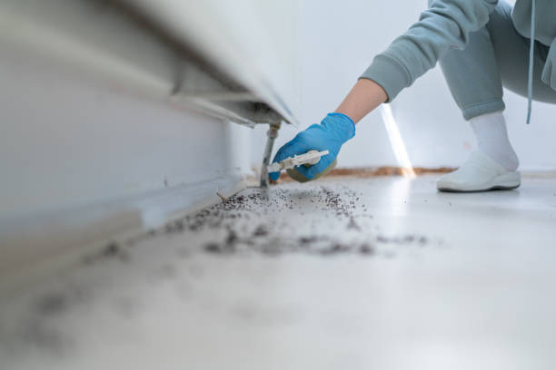 Best Affordable Pest Control Services  in Delaware, OH